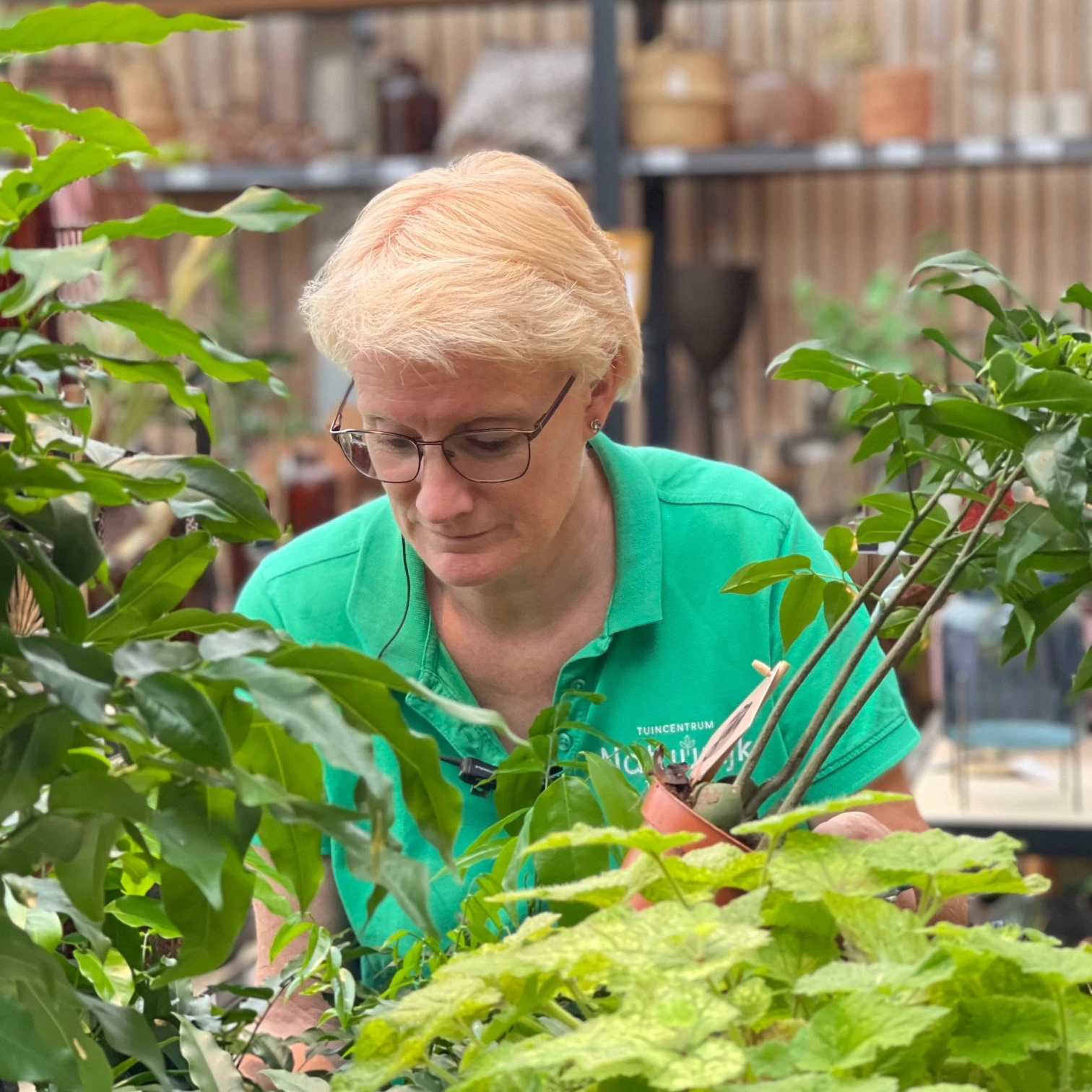 Kamerplanten specialist