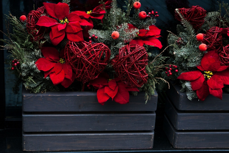 December huis- en tuintips