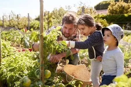 Moestuinieren in maart