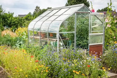 Tips voor de moestuin tijdens de vakantie