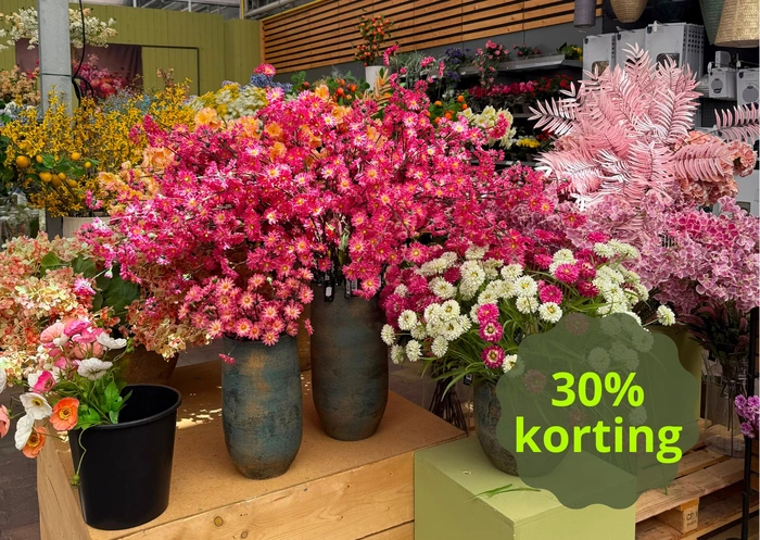 Zomerse Zijden Bloemen